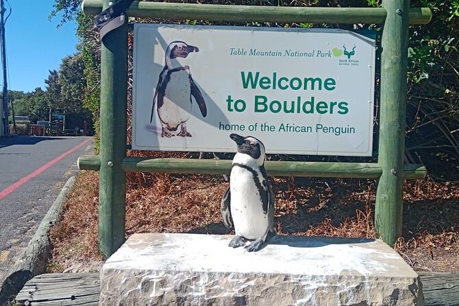 Private Tour: Table Mountain Boulders Beach Penguin Cape Point - Exploring Table Mountain