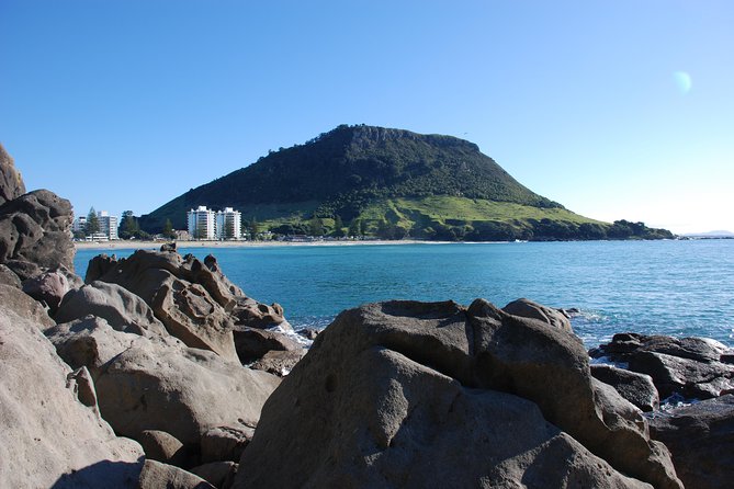 Private Tour Tauranga Highlights Shore Excursion up to 8 Passengers - Meeting and Pickup
