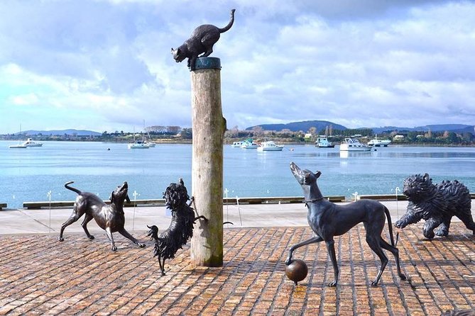 Private Tour Tauranga Highlights Shore Excursion up to 8 Passengers - Operational Details