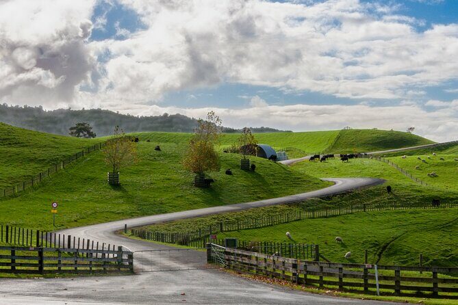 Private Tour Tauranga Magical Hobbiton Movie Set - Cost and Value Analysis