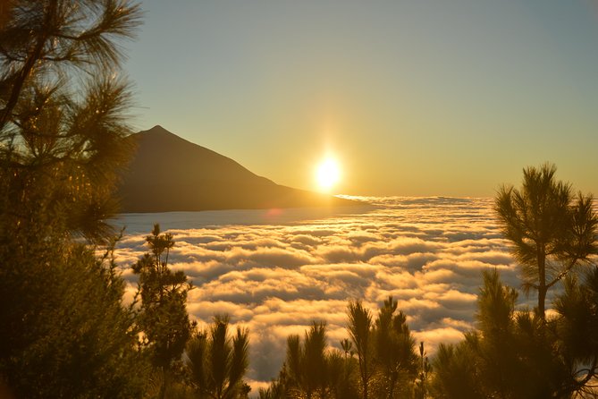 PRIVATE TOUR Teide National Park: Hiking and Stargazing - Customer Reviews