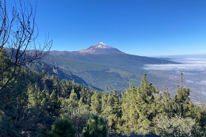 Private Tour Teide National Park Minimun 3 Persons - Tips for Visiting Teide National Park