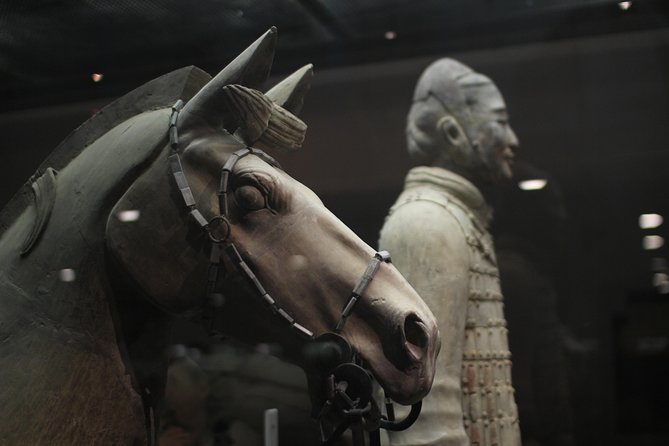 Private Tour: Terracotta Warriors& Foodie Tour and Seal Carving - Traveler Tips
