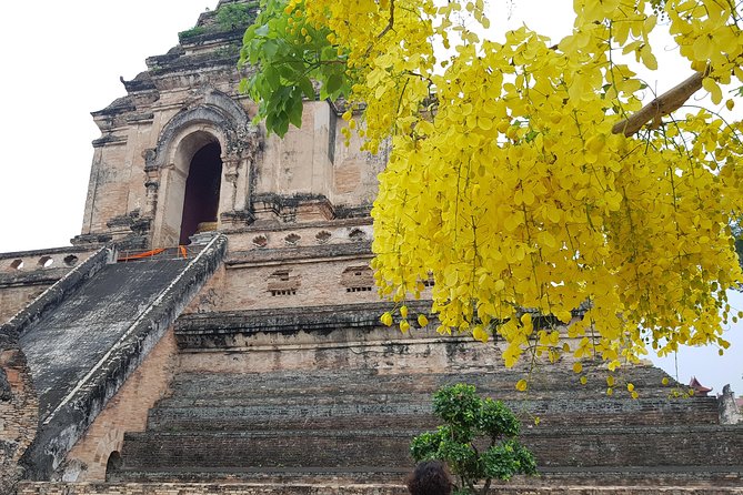 Private Tour: Thai Culture& Experience With Buddhism - Meditation and Flower Offering