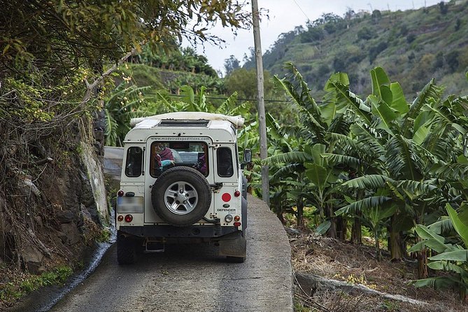 Private Tour: The Amazing West - Jeep Safari Tour - Full Day - Explore Rugged North Coast and Forest