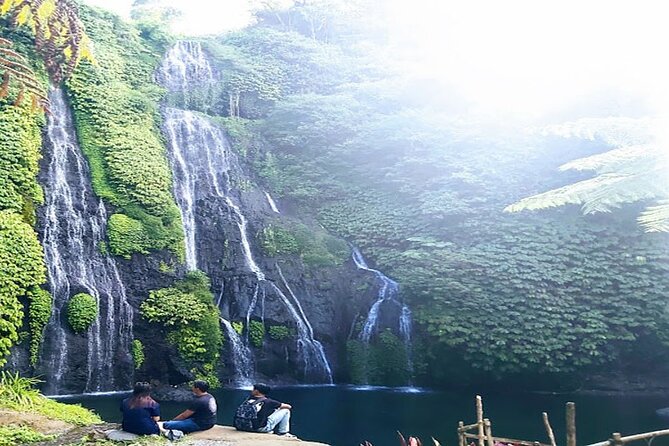 Private Tour the Beauty of Banyumala Waterfall - Logistics and Inclusions