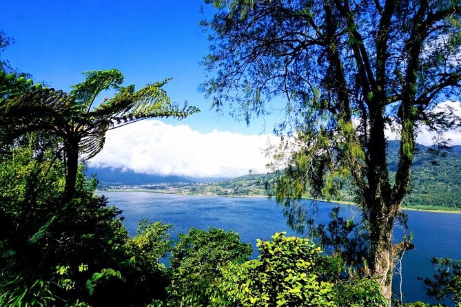 Private Tour the Beauty of Banyumala Waterfall - Authentic Local Dining