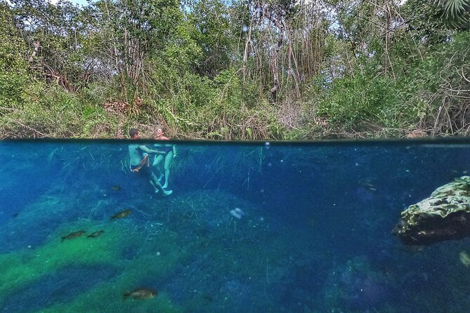 Private Tour The Best Cenotes in Tulum Riviera Maya - Inclusions and Amenities Provided
