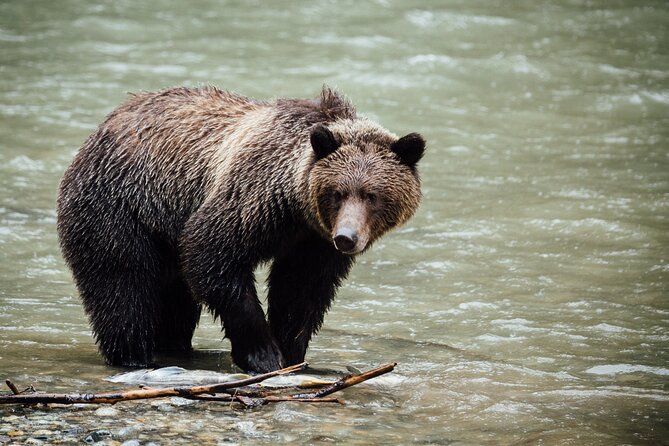 Private Tour: The Best of Banff National Park - Full Day - Itinerary and Activities