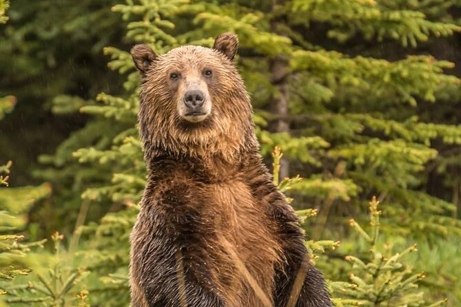 Private Tour: The Best of Banff National Park - Full Day - Booking and Cancellation