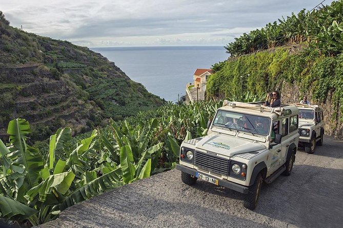 Private Tour: The Best of the South - Jeep Safari Tour - Full Day - Quick Points