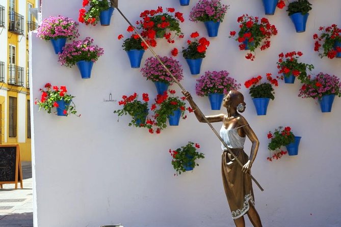 Private Tour: the Courtyards of Cordoba - Discovering the Jewish Quarter