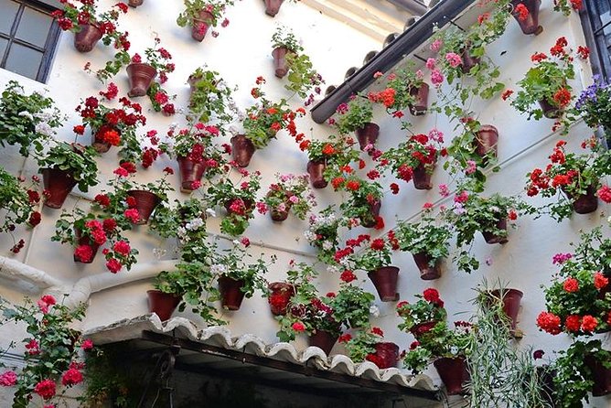 Private Tour: the Courtyards of Cordoba - Whats Included and Excluded