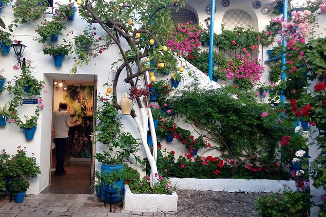 Private Tour: the Courtyards of Cordoba - Pricing and Cancellation Policy