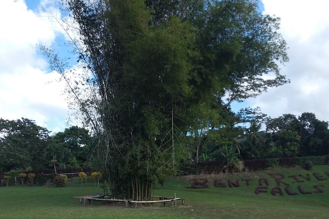 Private Tour Through Jamaican Countryside to Benta River Falls - Booking Your Stay