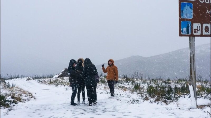 Private Tour Through Serra Da Estrela and Its Famous Cheese - Key Points