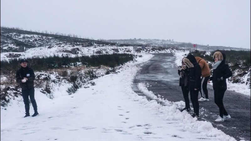 Private Tour Through Serra Da Estrela and Its Famous Cheese - Traditional Culture and Cuisine