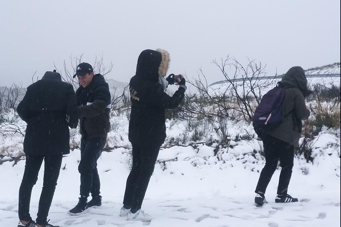 Private Tour Through Serra Da Estrela Park and Its Famous Cheese - Notable Site Visits