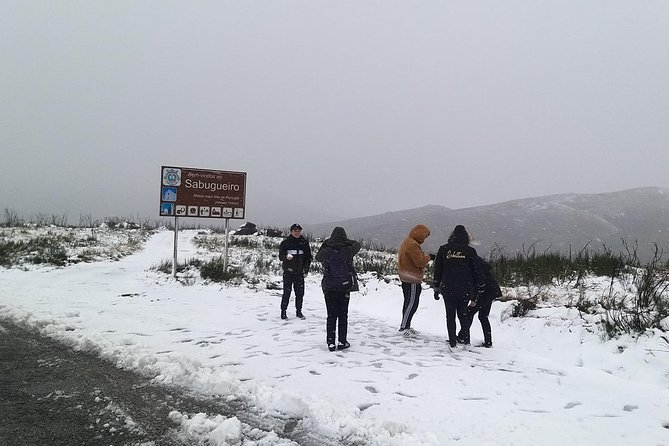 Private Tour Through Serra Da Estrela Park and Its Famous Cheese - Cheese Tasting Experience