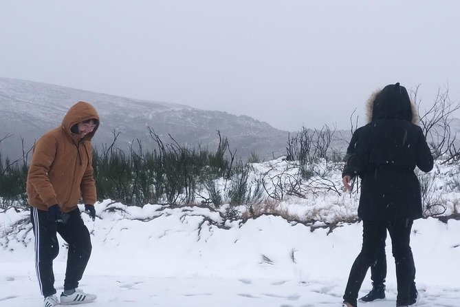 Private Tour Through Serra Da Estrela Park and Its Famous Cheese - Meeting and Pickup Details