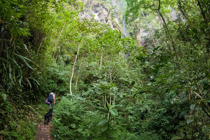 Private Tour Through the Chicaque Natural Park and Forest of Fog - Key Points