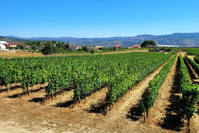 Private Tour Through the Douro Valley (Wineries + Boat) - Meeting and Pickup