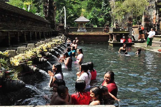 Private Tour: Tirta Empul, Tukad Cepung Waterfall & Penglipuran Village - Inclusions