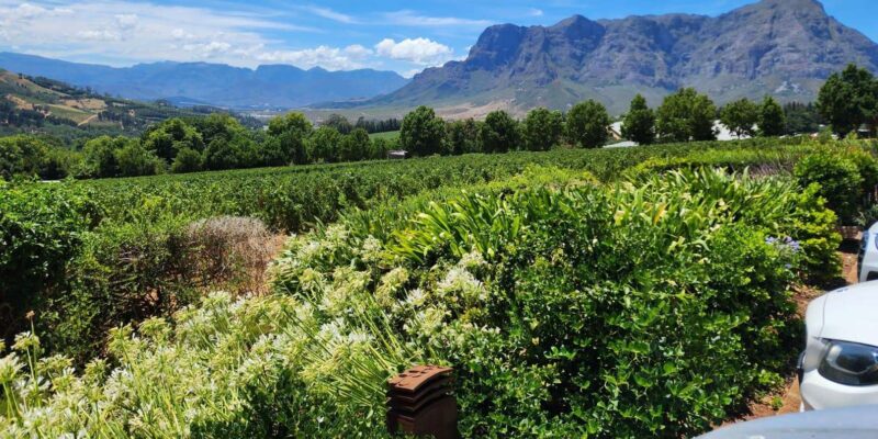 Private Tour to 20 Wine Tasting in Stellenbosch &Franschhoek - Inclusions