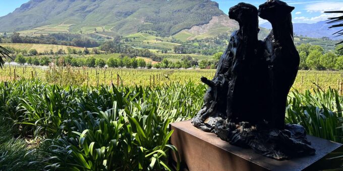 Private Tour to 20 Wine Tasting in Stellenbosch &Franschhoek - Price and Duration