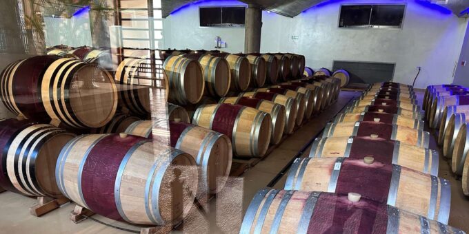 Private Tour to 20 Wine Tasting in Stellenbosch &Franschhoek - Cancellation Policy