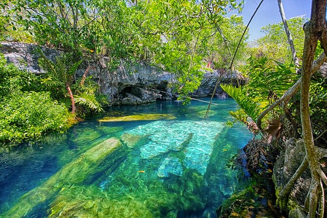 Private Tour to 3 Cenotes in the Riviera Maya With Lunch - Key Points