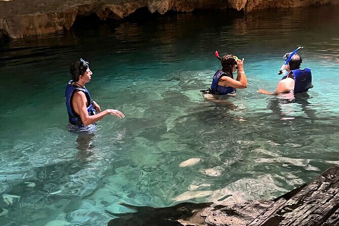 Private Tour to 4 Cenotes - In-Depth Look at the Tour