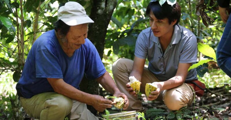 Private Tour to a Cocoa Farm in Cusco - Itinerary
