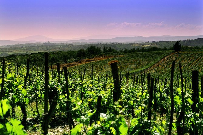 Private Tour to a Winery in Franciacorta and Bergamo From Milan W/ Hotel Pick-Up - Key Points