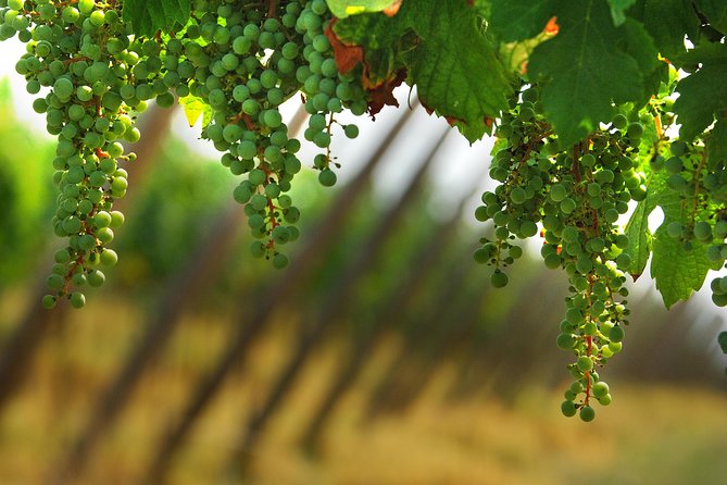 Private Tour to a Winery in Franciacorta and Bergamo From Milan W/ Hotel Pick-Up - Recap