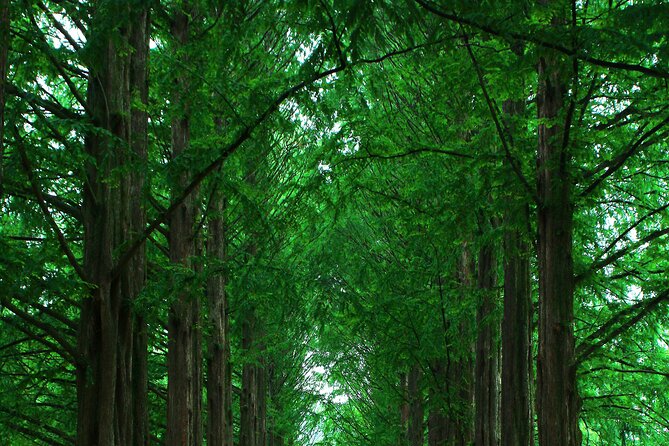 Private Tour to Alpaca World &Nami Island& Railbike With Tickets - Nami Island Exploration