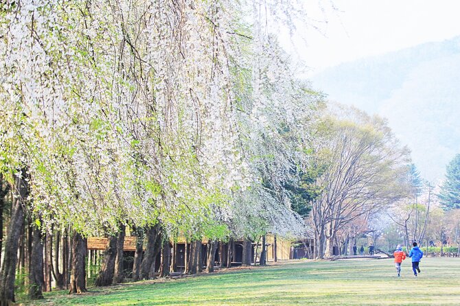 Private Tour to Alpaca World &Nami Island& Railbike With Tickets - Optional Activities and Extras