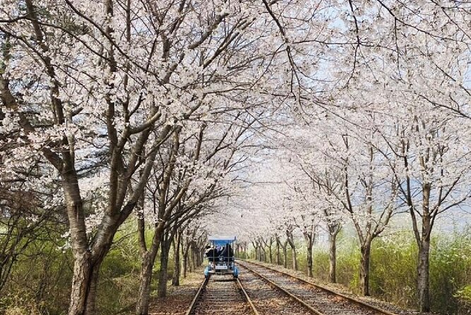 Private Tour to Alpaca World &Nami Island& Railbike With Tickets - Customer Testimonials