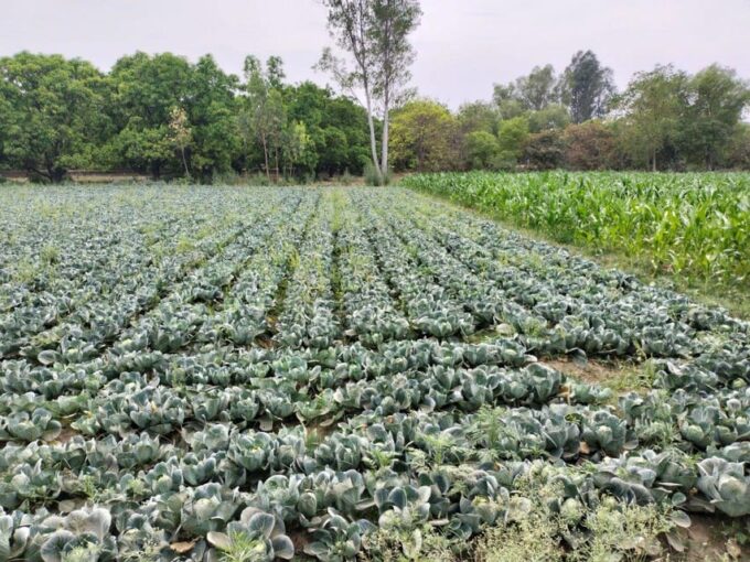 Private Tour to an Indian Village & Cooking Class - Frequently Asked Questions
