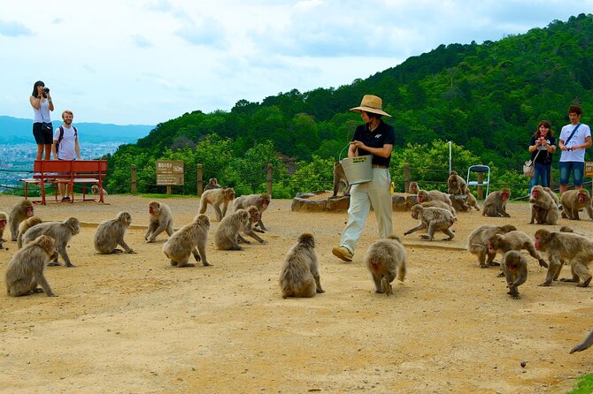 Private Tour to Arashiyama Monkey Park and Arashiyama Highlights - Inclusions