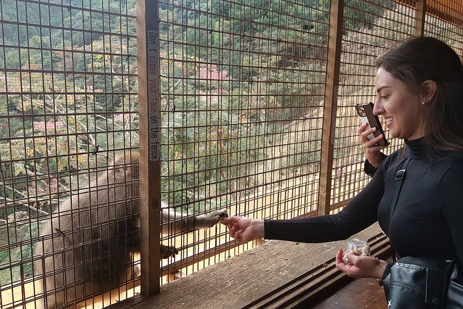 Private Tour to Arashiyama Monkey Park and Arashiyama Highlights - Meeting and End Points