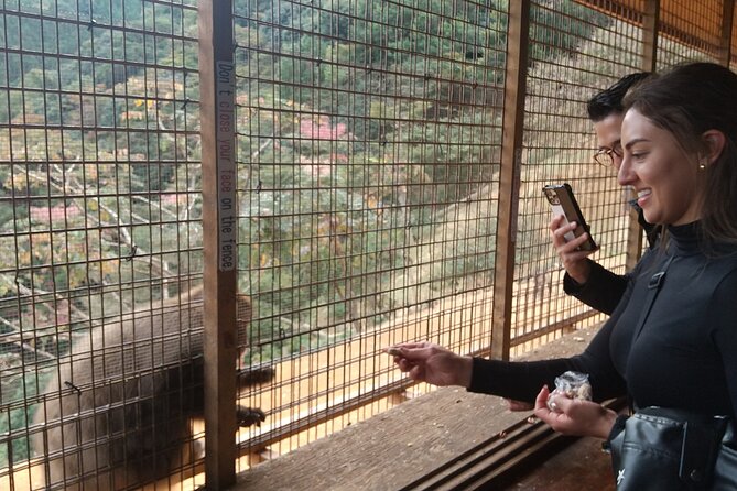 Private Tour to Arashiyama Monkey Park and Arashiyama Highlights - Tour Details