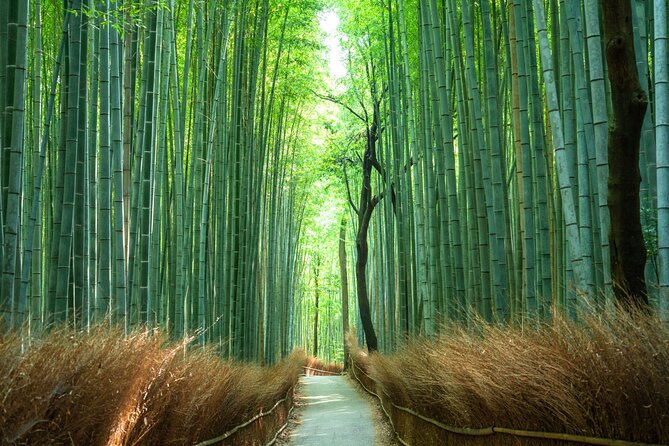 Private Tour to Arashiyama Monkey Park and Arashiyama Highlights - Physical Fitness Requirements