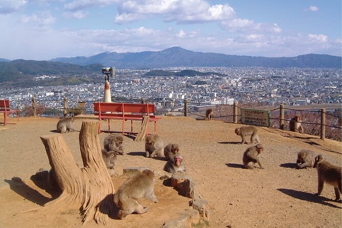 Private Tour to Arashiyama Monkey Park and Arashiyama Highlights - Highlights of the Arashiyama Monkey Park