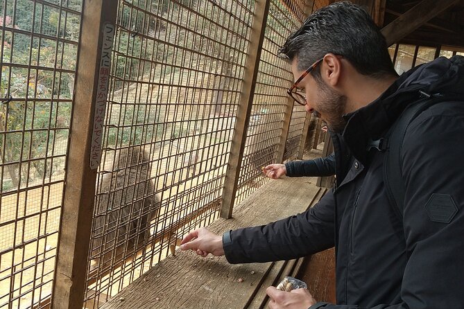 Private Tour to Arashiyama Monkey Park and Arashiyama Highlights - Exploring the Arashiyama Highlights