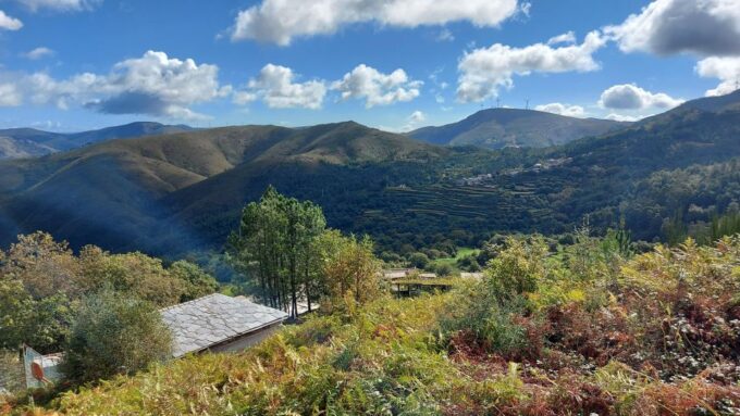 Private Tour to Arouca 516 Bridge and Paiva Walkways - Tour Guide and Languages