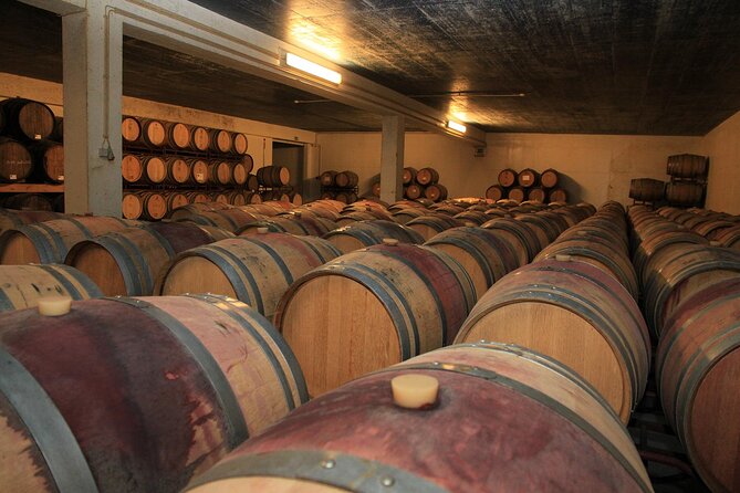 Private Tour to Arrábida Beaches, Sesimbra, and Espichel Cape - Livramento Market Visit