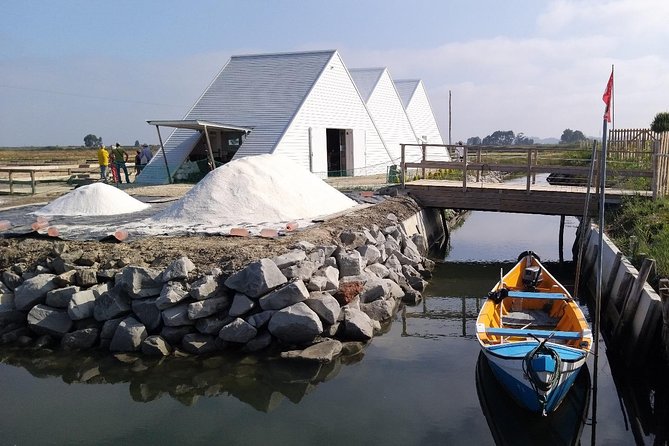Private Tour to Aveiro and Costa Nova Unique Striped Houses - Included in the Tour