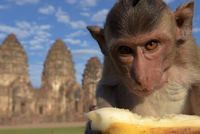 Private Tour to Ayutthaya and Lopburi Monkey Temple (From Bangkok) - Accessibility