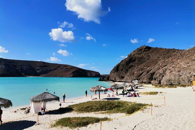 Private Tour to Balandra Beach Todos Santos From Los Barriles - Final Thoughts: Who Will Love This Tour?